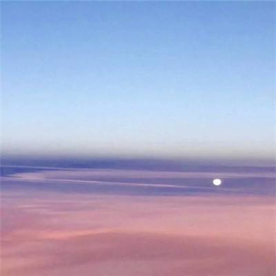 太阁立志战国幻想手游