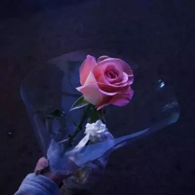 绝境唐门游戏下载